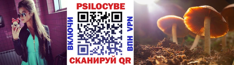 Псилоцибиновые грибы ЛСД  наркота  Новоузенск 